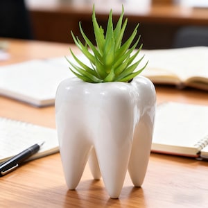May include: A white ceramic tooth-shaped planter with a green succulent plant. The planter has three root-like legs and a glossy finish. The plant has long, pointed green leaves. The planter is on a wooden surface.