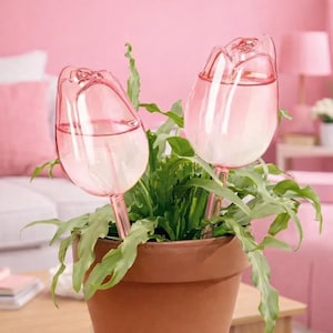 May include: Two pink glass tulip-shaped plant waterers filled with water, inserted into a potted green plant. The waterers are in a terracotta pot, set against a pink background. The waterers are a decorative and functional gardening accessory.