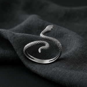 Puede incluir: Un anillo de metal plateado con forma de serpiente enroscada. La banda presenta un patrón de escamas detallado y texturizado en toda su superficie, con la cabeza y la cola de la serpiente superponiéndose ligeramente para formar el anillo.