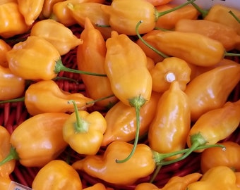 Crushed Aji Mango Peppers Harvested on our Farm, Certified Organic