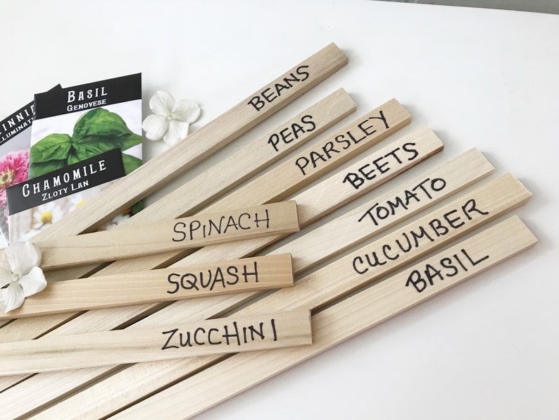 Wooden Garden Stakes, Plant Markers, Bulk Vegetable Flower Row Labels, Set of 12 BLANK Wood Garden Labels, Solid Poplar Hardwood image 3