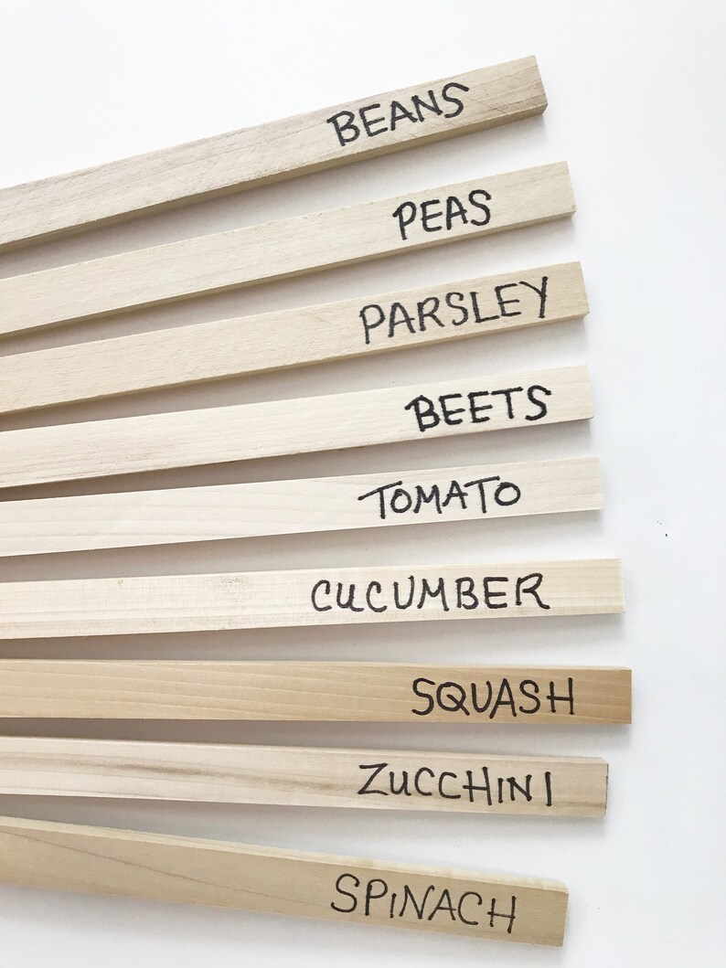 Wooden Garden Stakes, Plant Markers, Bulk Vegetable Flower Row Labels, Set of 12 BLANK Wood Garden Labels, Solid Poplar Hardwood image 6