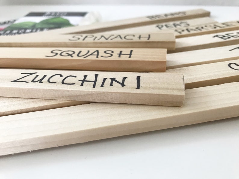 Wooden Garden Stakes, Plant Markers, Bulk Vegetable Flower Row Labels, Set of 12 BLANK Wood Garden Labels, Solid Poplar Hardwood image 4