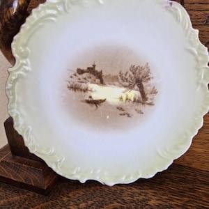 Vintage Transferware Design Samlartallrik