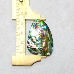 May include: Iridescent abalone shell cabochon with a teardrop shape, measuring approximately 2 inches in length. The shell displays a mix of green, blue, purple, and gold colors. A brass caliper is positioned next to the shell for measurement.