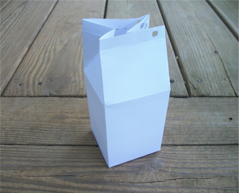 Printable Blank Milk Carton Favor Box Template image 3
