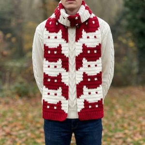 Peut inclure: Écharpe tricotée rouge et blanche avec un motif répété de visage de chat. L'écharpe est portée sur un pull blanc et un jean bleu. L'arrière-plan est une scène extérieure floue avec des feuilles d'automne.