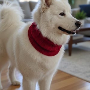 Calentador de cuello para perro tejido a mano / Bufanda acogedora de invierno para mascotas / Accesorio elegante para perros para clima frío