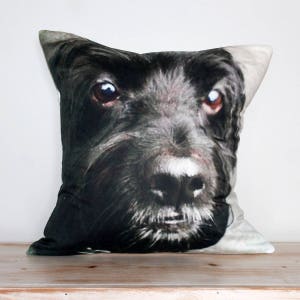 K&ouml;nnte beinhalten: Ein Kissen mit einem schwarzen und wei&szlig;en Hund, auf dem ein Nahaufnahme des Hundekopfes zu sehen ist. Der Hund hat eine schwarze Nase und wei&szlig;es Fell um den Mund.