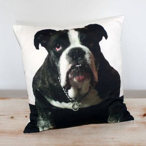 K&ouml;nnte beinhalten: Ein wei&szlig;es Kissen mit einem aufgedruckten Bild eines schwarz-wei&szlig;en Bulldoggen. Der Bulldogge schaut direkt in die Kamera, der Mund leicht ge&ouml;ffnet. Das Kissen ist aus einem weichen, bequemen Stoff.