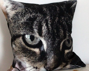 Könnte beinhalten: Ein schwarzes und graues Kissen mit einem Katzenkopf. Die Augen der Katze sind offen und schauen direkt auf den Betrachter.