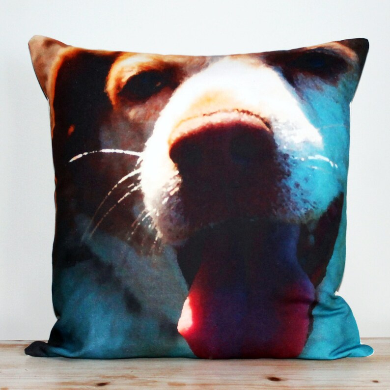 K&ouml;nnte beinhalten: Ein Kissen mit einem Nahaufnahmebild eines Hundes. Der Hund hat braunes und wei&szlig;es Fell und streckt die Zunge heraus. Der Hintergrund ist verschwommen in Blau und Gr&uuml;n.