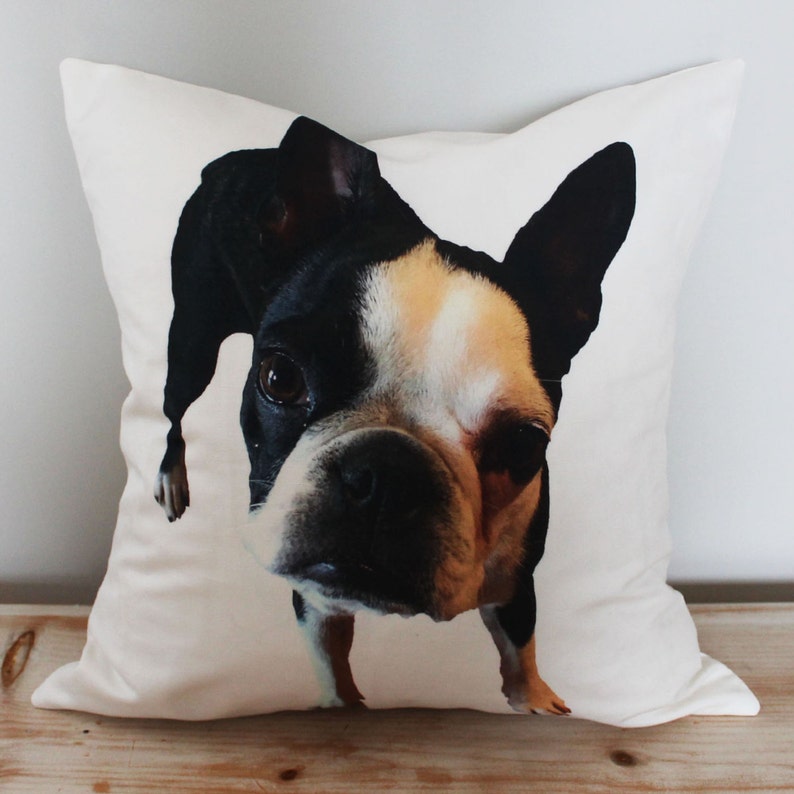 K&ouml;nnte beinhalten: Ein wei&szlig;es Kissen mit einem aufgedruckten Bild eines schwarz-wei&szlig;en Boston Terrier Hundes. Der Hund schaut direkt in die Kamera, die Zunge herausgestreckt.