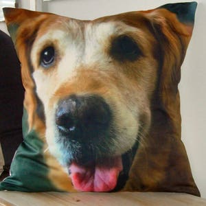 K&ouml;nnte beinhalten: Ein Kissen mit dem Bild eines braunen und wei&szlig;en Hundes mit einer langen Schnauze und gro&szlig;en braunen Augen. Der Hund streckt seine Zunge heraus und hat einen fr&ouml;hlichen Ausdruck.