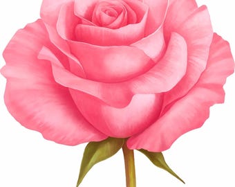 Pink Rose Watercolor Sticker – Floral Laptop Decal, Journal Art