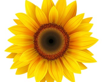 Yellow Sunflower Vinyl Sticker, Weather-Resistant Decal