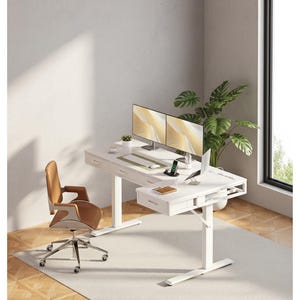 May include: A modern white standing desk with two computer monitors, a keyboard, and a phone charger. A brown and silver office chair sits on a light-colored rug. A large green plant is next to a window.