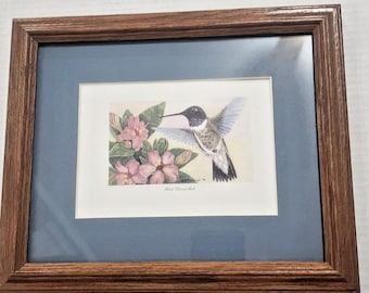 Litografía de colibrí barbinegro con paspartú y enmarcada, 6/3508, firmada por S. FULLINGIM.