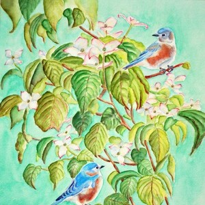 Print Bluebirds in Dogwood Tree Watercolor Painting, Blue Bird Wall Art, Bird Lover Gift, Turquoise, White, 8x10, 11x14