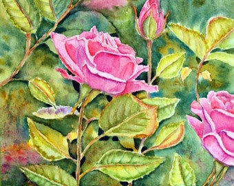Akvarellmålning med rosa rosor, tofsad blomkonst