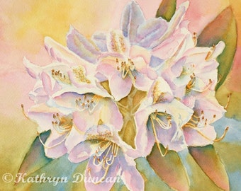 Original Pink and Violet Rhododendron flowers Watercolor Painting, 8x10 image matted to 11x14, Spring Painting