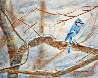 Blue Jay Winter Tree Branch Watercolor Painting Print, Matted 11x14