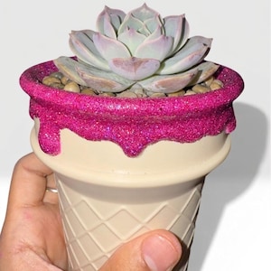 May include: A succulent plant in a cream-colored ice cream cone-shaped pot with a pink glitter rim. The succulent has pale green and purple leaves. The pot is held by a hand.