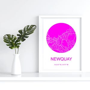 May include: A framed print featuring a map of Newquay, with a bright pink circular design. The town's name is printed in white below the circle, along with its coordinates. A white vase with green leaves is to the left.