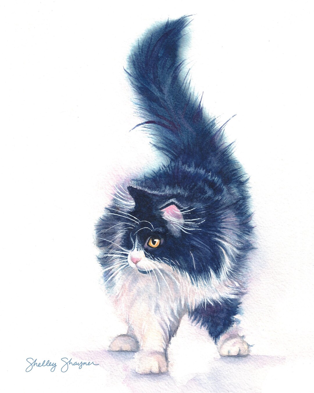 Tuxedo Cat Art Print — Black and White Cat Watercolor - Etsy