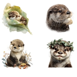 Otter Clipart Set: 16 Baby Otters - Digital Download PNG Files