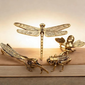 May include: Four brass insect figurines: a dragonfly, a bee, and two grasshoppers. The dragonfly stands upright with outstretched wings. The bee has detailed wings and a segmented body. The grasshoppers are in a crawling position.