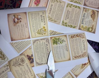 May include: Assortment of printed herb and spice labels with botanical illustrations and text. The labels include names like "Lemon Balm," "Strawberry Leaf," and "Bay Leaves." A pair of light blue scissors is partially visible.