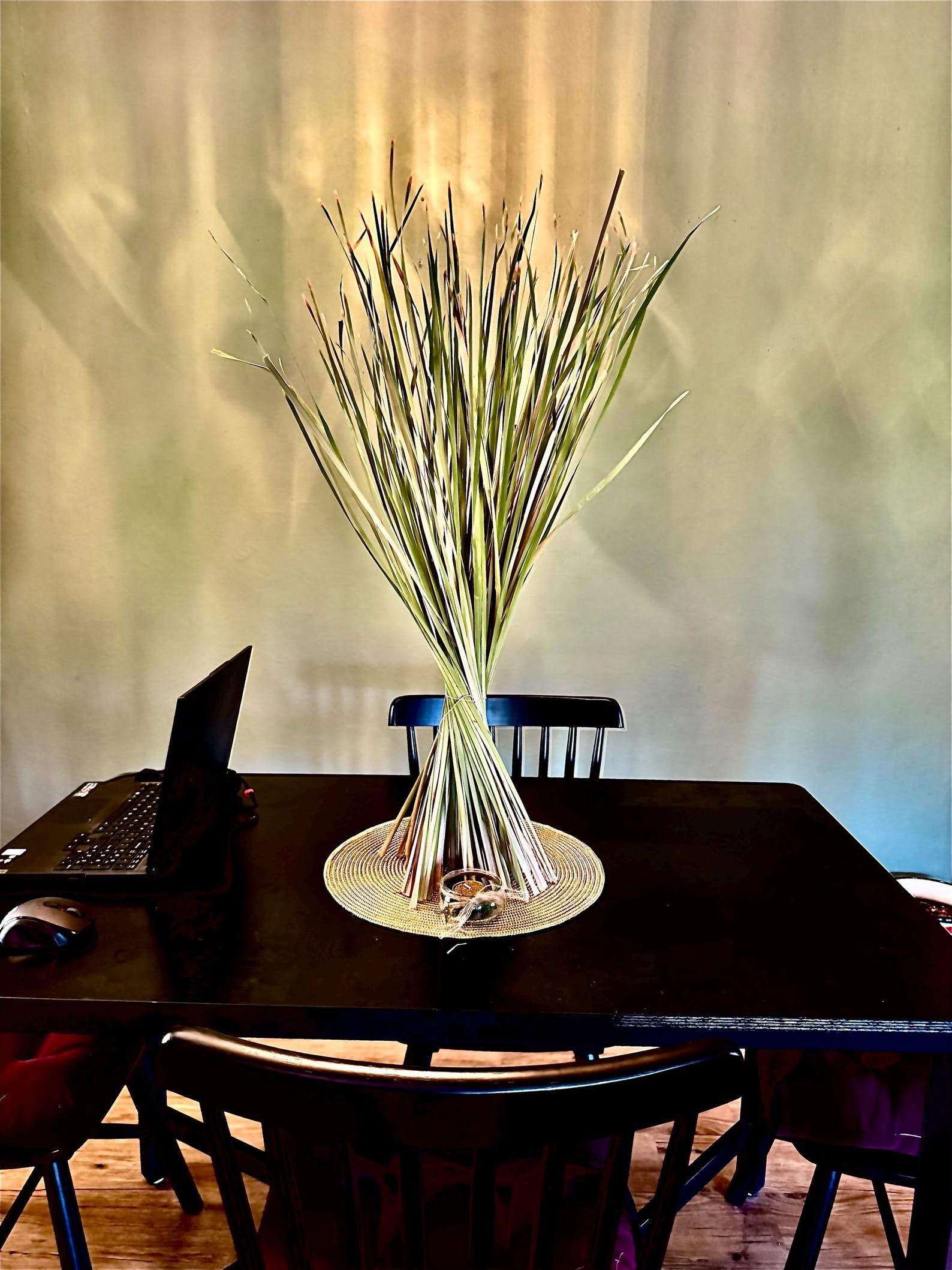 Hanging Reeds 50 Long Cattail Reeds (47-53 Inches) - Basket Weaving & Rustic Decor - Etsy