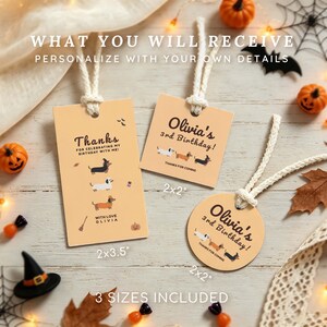 Könnte beinhalten: Drei hellorange Geschenkanhänger mit weißen Kordeln, verziert mit Dackel-Illustrationen und Text. Ein rechteckiger Anhänger misst 5,08x8,89 cm, zwei quadratische und runde Anhänger messen 5,08x5,08 cm. Der Text lautet Olivia's 3rd Birthday und Thanks.