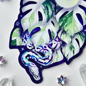 Pu&ograve; includere: Una foglia di monstera bianca e verde con un serpente bianco e blu iridescente avvolto attorno. Il serpente ha un motivo a galassia e lo sfondo &egrave; blu scuro con stelle bianche.