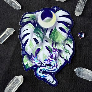 Pu&ograve; includere: Un adesivo con una pianta di monstera bianca e verde con una luna crescente e stelle. Un serpente viola e bianco si attorciglia attorno alla base della pianta.