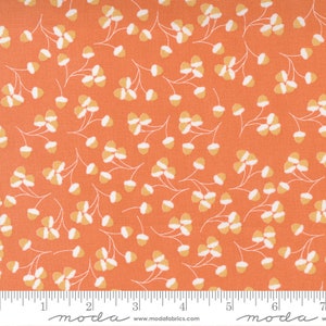 Può includere: Tessuto arancione con un motivo floreale bianco e giallo. Il tessuto presenta un motivo ripetitivo di piccoli fiori bianchi e gialli con uno stelo. Il tessuto è perfetto per il quilting, la cucitura e l'artigianato.