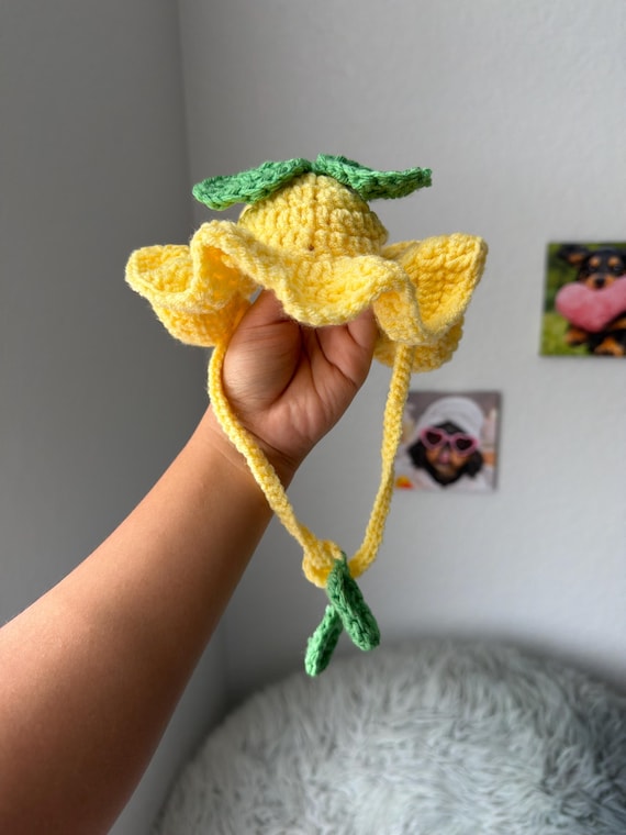 Crochet Lemon Hat for Dogs & Cats | Pet Costume, Summer Accessory, Photo Prop