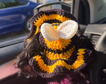 May include: A black, yellow, and white crocheted bee hat with white antennae is worn by a dog. The hat is striped with yellow and black yarn. The dog is wearing a pink harness.