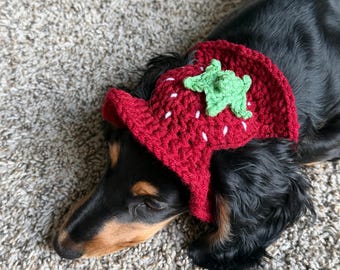 May include: A black and tan dachshund wearing a red crocheted strawberry hat. The hat features a green stem and white seed details. The dog is lying on a light gray carpet.