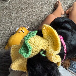 May include: A yellow crochet dog hat with green leaves, resembling a flower, is worn by a black dog. A yellow plush toy is visible in the background. The dog is wearing a pink collar with white polka dots.