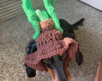 May include: A black and tan dachshund wearing a brown crocheted hat shaped like a plant pot with bright green crocheted leaves extending from the top. The hat features a textured, wide-brimmed design that sits securely on the dog's head.
