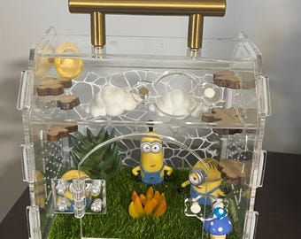 Recinto per ragni saltatori a tema Minions