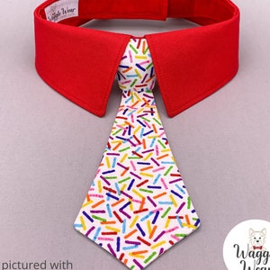 Birthday Confetti: Dog Shirt Collar with Removable Bow Tie or Necktie
