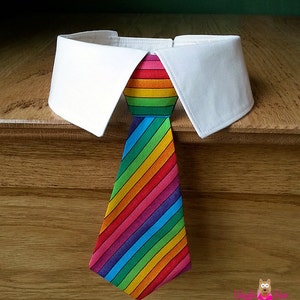 Rainbow Dog Tie and Shirt Collar, Rainbow Stripes Dog Tie for Big Dogs and Small Dogs, Removable Dog Neck Tie, Dog Bow Tie image 1