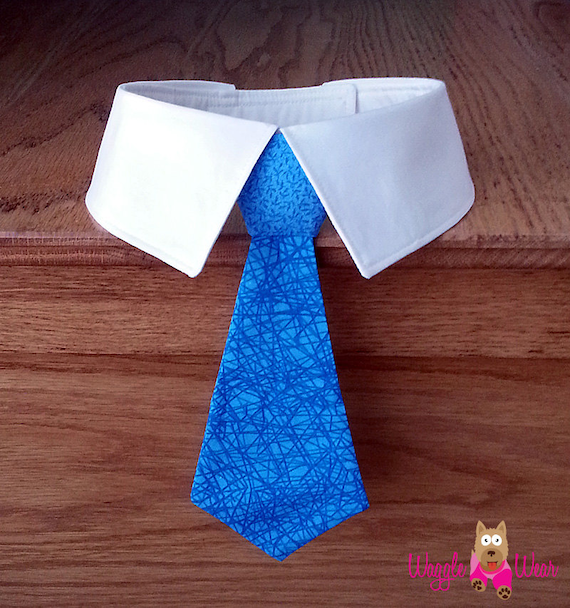 blue dog tie