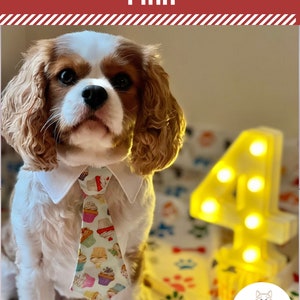 Colorful Cupcakes Dog Neck Tie or Bow Tie Collar, Happy Birthday Cup Cake Dog Tie, Party Dog Tie with Your Choice of Collar Color image 2