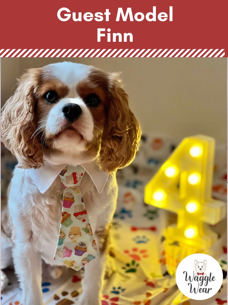 Colorful Cupcakes Dog Neck Tie or Bow Tie Collar, Happy Birthday Cup Cake Dog Tie, Party Dog Tie with Your Choice of Collar Color image 2