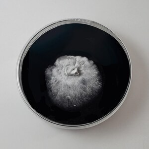 May include: A round, silver-rimmed container filled with black liquid. A white, fluffy, cloud-like shape is centered within the liquid. The image is set against a plain white background.