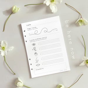 Calm Anxiety Printable: Mental Health Journal, Self-Care Prompts, Mindfulness Exercise (PDF, Letter Size, A5) image 1